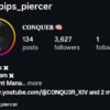 Pips_Piercer (CONQUER)